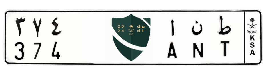 لوحة ط ن ا 374